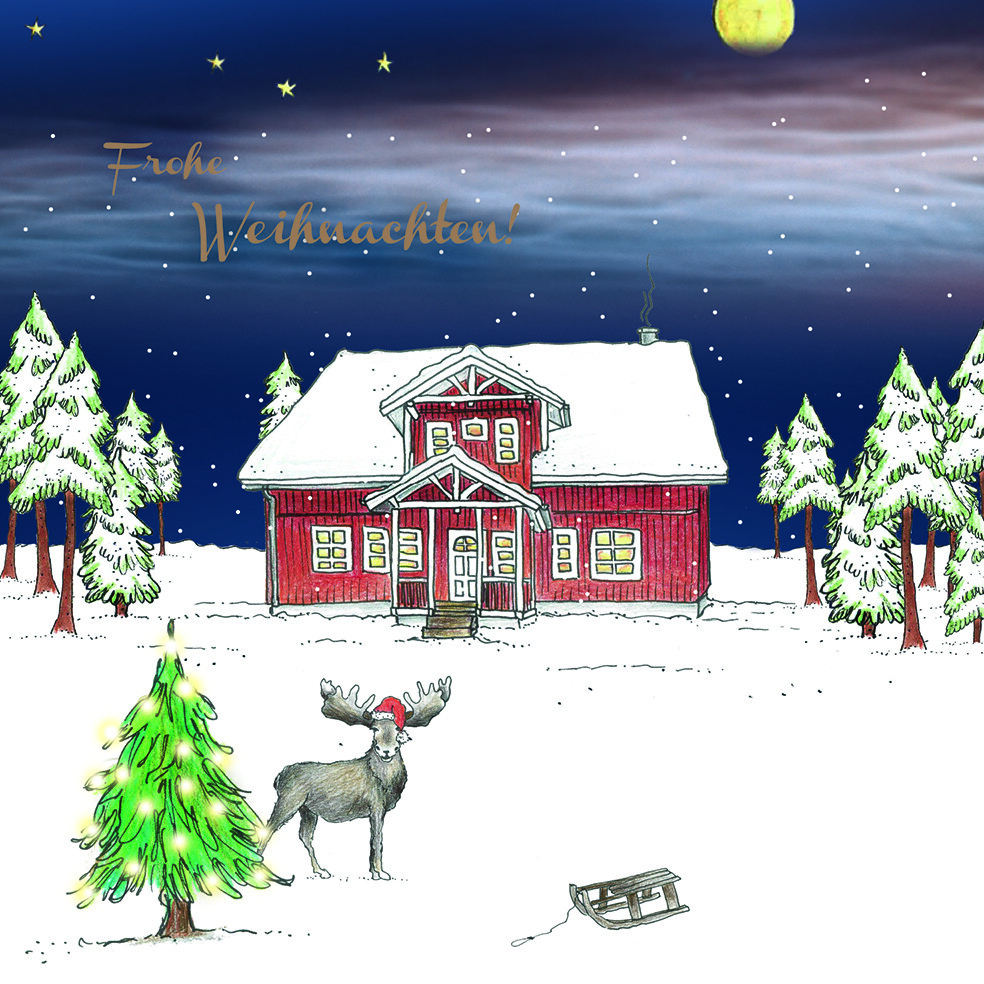 Fjorborg Weihnachtskarte 2020
